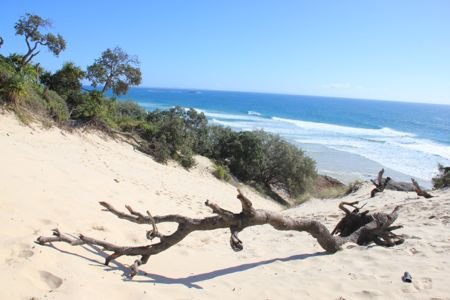 Dunas de Stradbroke Island em Queensland