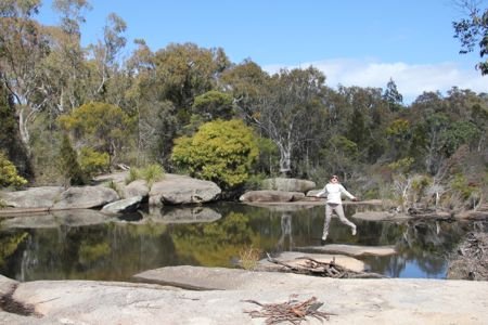 Muita natureza em Girraween National Park